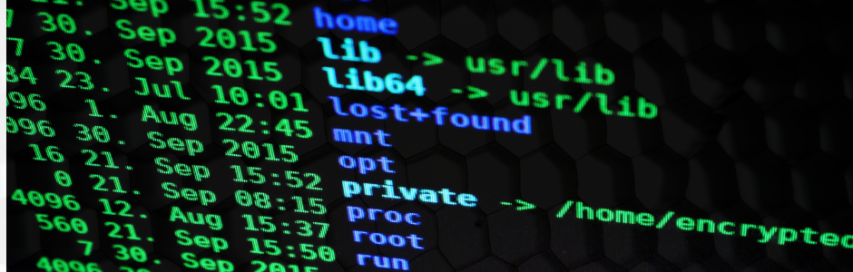 Daily commands for a .NET Software Engineer